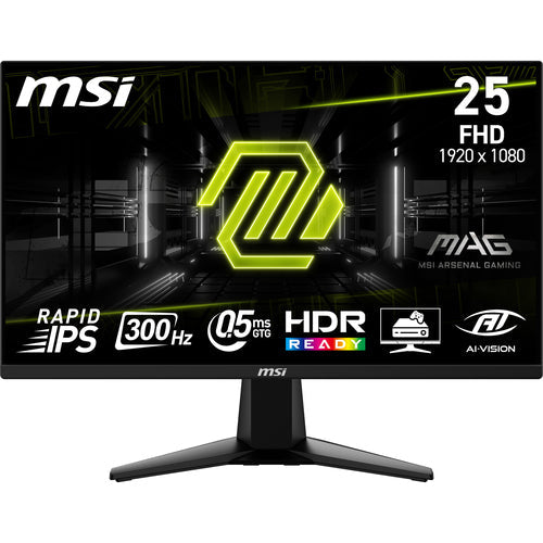 MSI MAG 255XF